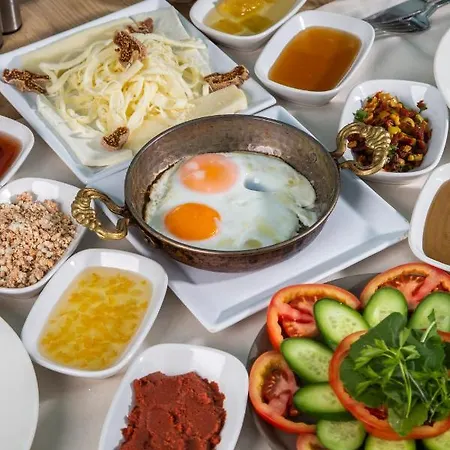 ホテル Gaia フォチャ